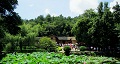 長(zhǎng)沙出發(fā)到花明樓、韶山、張家界國(guó)家森林公園、天門仙山國(guó)家森林公園四日游